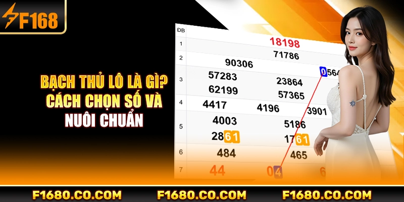 Bạch Thủ Lô Là Gì?